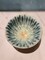 Winter Trees 21 Wheel-Thrown Pottery Peacock Bowl product 4